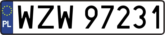 WZW97231