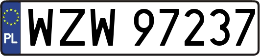 WZW97237