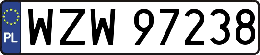 WZW97238