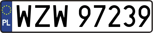 WZW97239