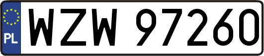 WZW97260