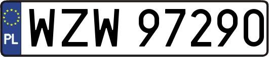WZW97290