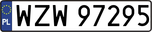 WZW97295