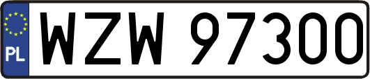 WZW97300