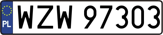 WZW97303