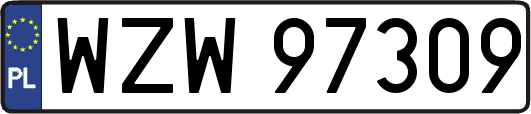 WZW97309