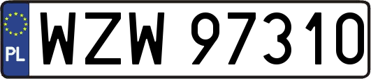 WZW97310