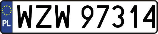 WZW97314