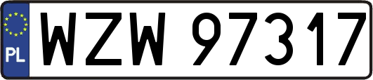 WZW97317