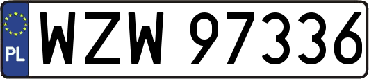 WZW97336