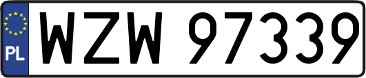 WZW97339