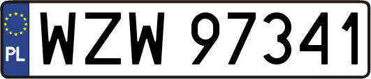 WZW97341