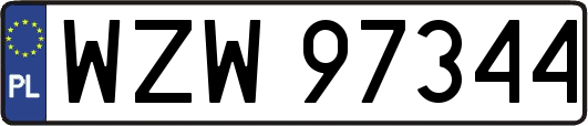 WZW97344