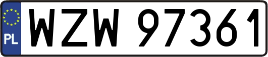 WZW97361