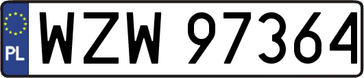 WZW97364