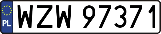 WZW97371