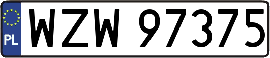 WZW97375