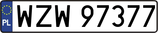 WZW97377