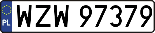 WZW97379