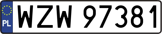 WZW97381