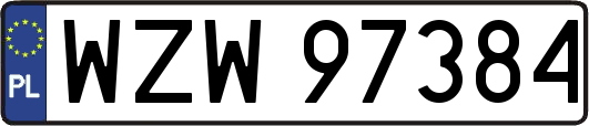 WZW97384