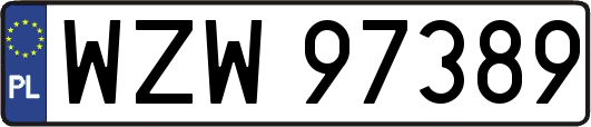 WZW97389