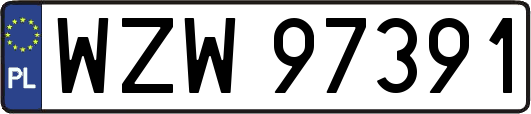 WZW97391
