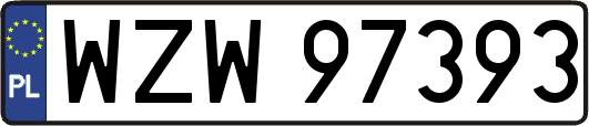 WZW97393