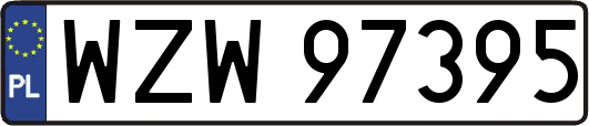 WZW97395