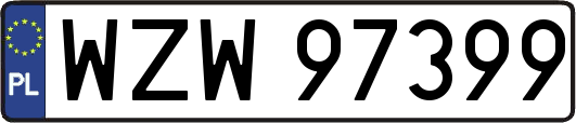 WZW97399