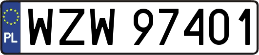 WZW97401