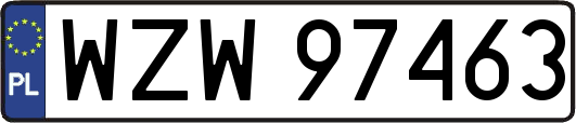 WZW97463