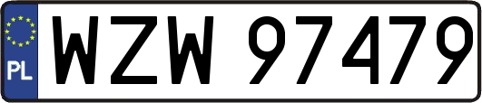 WZW97479