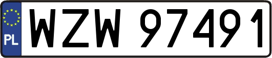 WZW97491