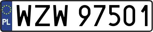 WZW97501