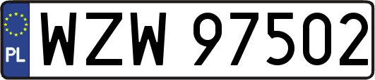 WZW97502