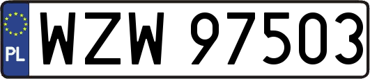 WZW97503