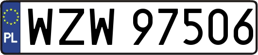 WZW97506