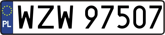 WZW97507