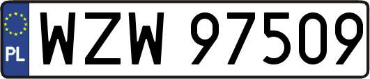 WZW97509