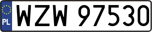 WZW97530
