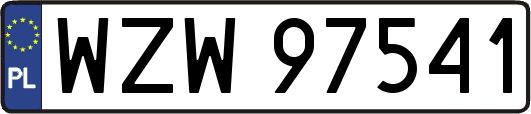 WZW97541