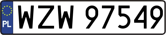 WZW97549
