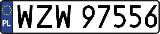 WZW97556