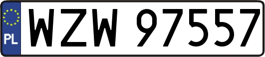 WZW97557