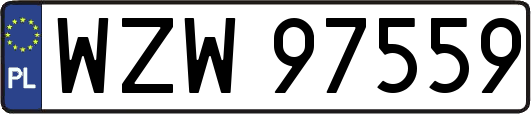 WZW97559