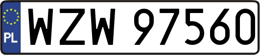 WZW97560