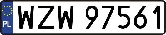 WZW97561