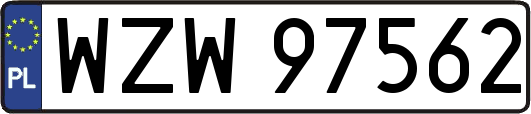 WZW97562
