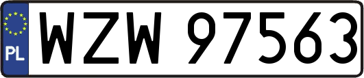 WZW97563